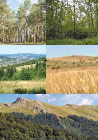 Характеристика природних зон України (мішані ліси, або Полісся, лісостеп, степ, гори Карпати, Кримські гори)